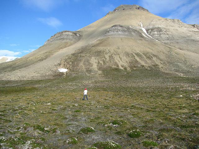 kapp_scott_14july 178.jpg - En réalisant des transects depuis le littorale jusqu'aux pieds des reliefs